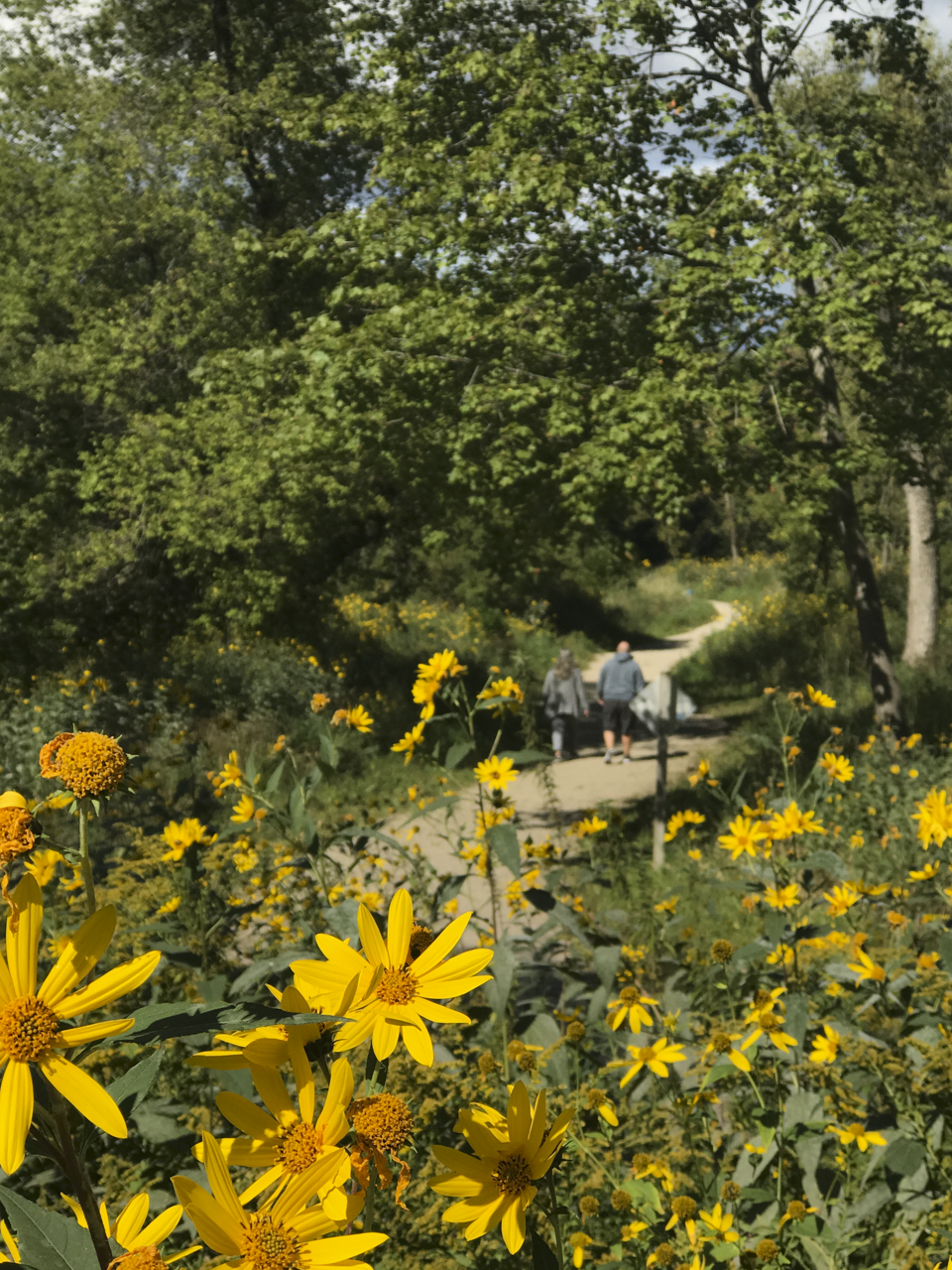 Walkers enjoying Colonial Park
